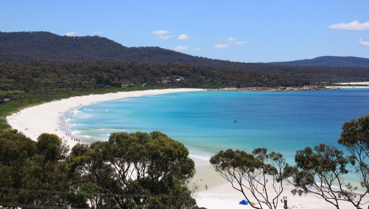 Sea Eagle Cottage Amazing Views Of Bay Of Fires Binalong Bay Exterior photo